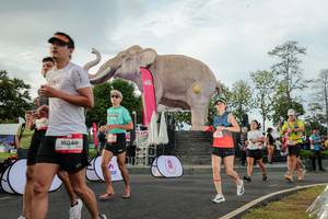 BIB: 
                            <button type="button" onclick="openModal(26528345)" class="btn btn-primary btn-sm float-right btn-popup" data-toggle="modal" data-target=".modal-high-quality">
                        <i class="fas fa-shopping-cart"></i> Add to Cart
                    </button>
                                            <button type="button" onclick="isThisMe(26528345, true)" class="btn btn-success btn-sm float-right btn-popup btn-isme hidden" data-toggle="tooltip" data-placement="bottom" title="นี่คือรูปของคุณใช่ไหม คลิกที่นี่เพื่อเอาเข้าอัลบั้ม">
                        <i class="fas fa-plus"></i> Add to album
                    </button>
                    <button type="button" onclick="isThisMe(26528345, false)" class="btn btn-warning btn-sm float-right btn-popup btn-isnotme hidden">
                        <i class="fas fa-ban"></i> Remove from album
                    </button>